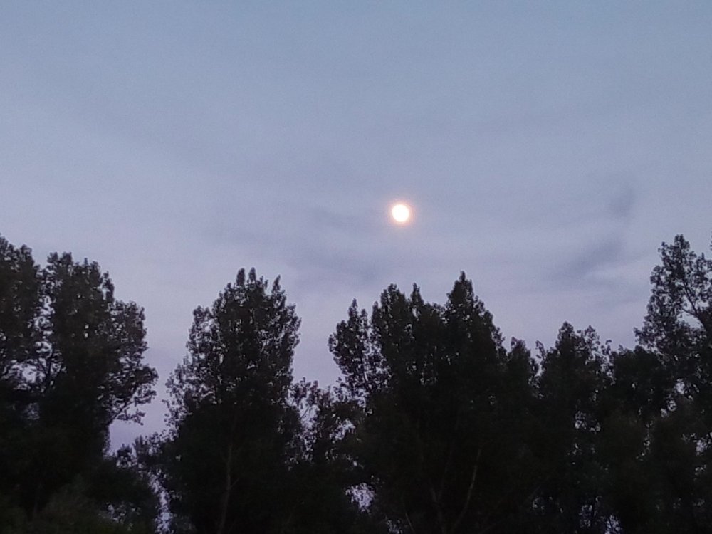 Луна