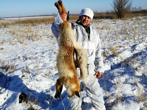 Вышел на номер..