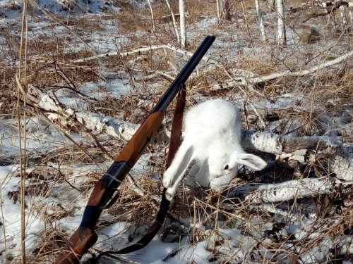 Воскресная прогулка..