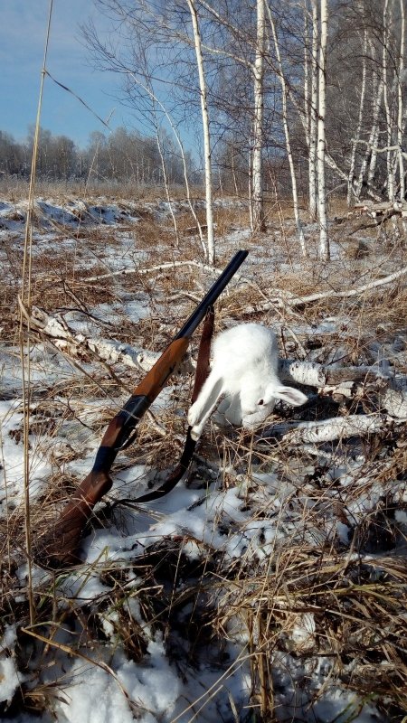 Воскресная прогулка..