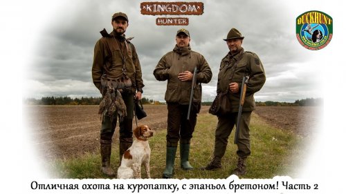 Отличная охота на куропатку, с эпаньол бретоном!  Часть2