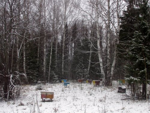 Пасека.