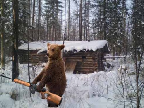 Косолапый домушник