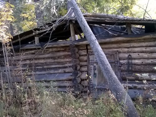Изба брошенная.