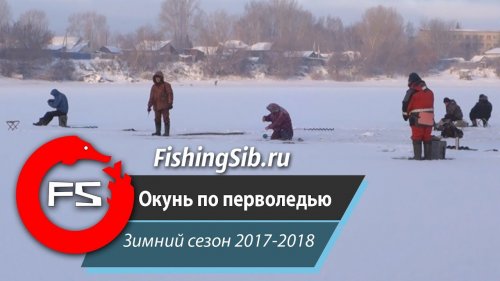 Первые окушки… Мелкие, даже кот таких не ест)) Но все же сезон открыт!