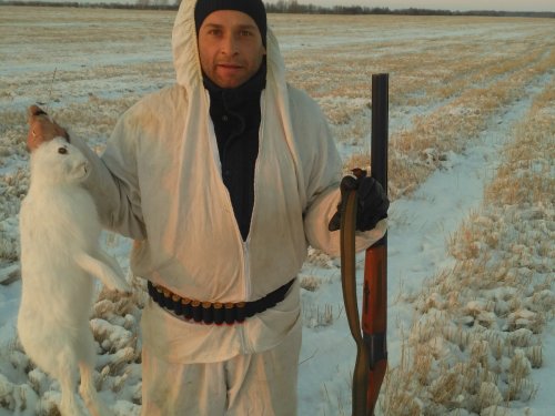 Ушастый