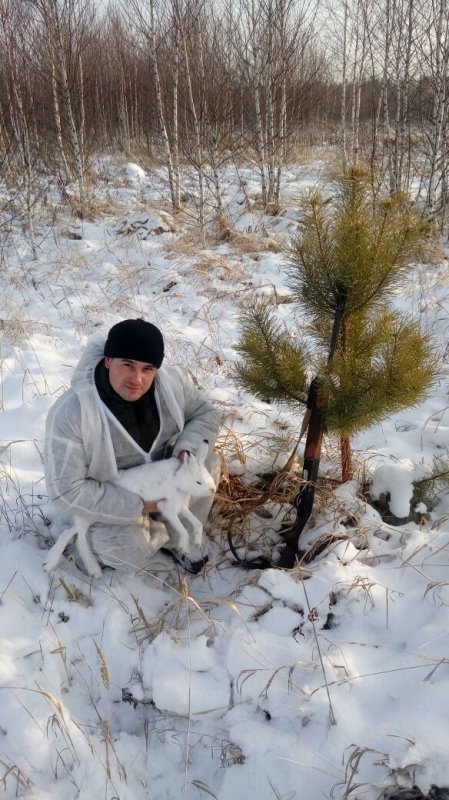 Зайка