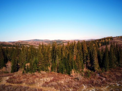 Осенние пейзажи