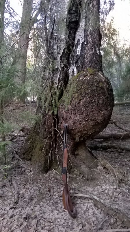 Пузатая какая