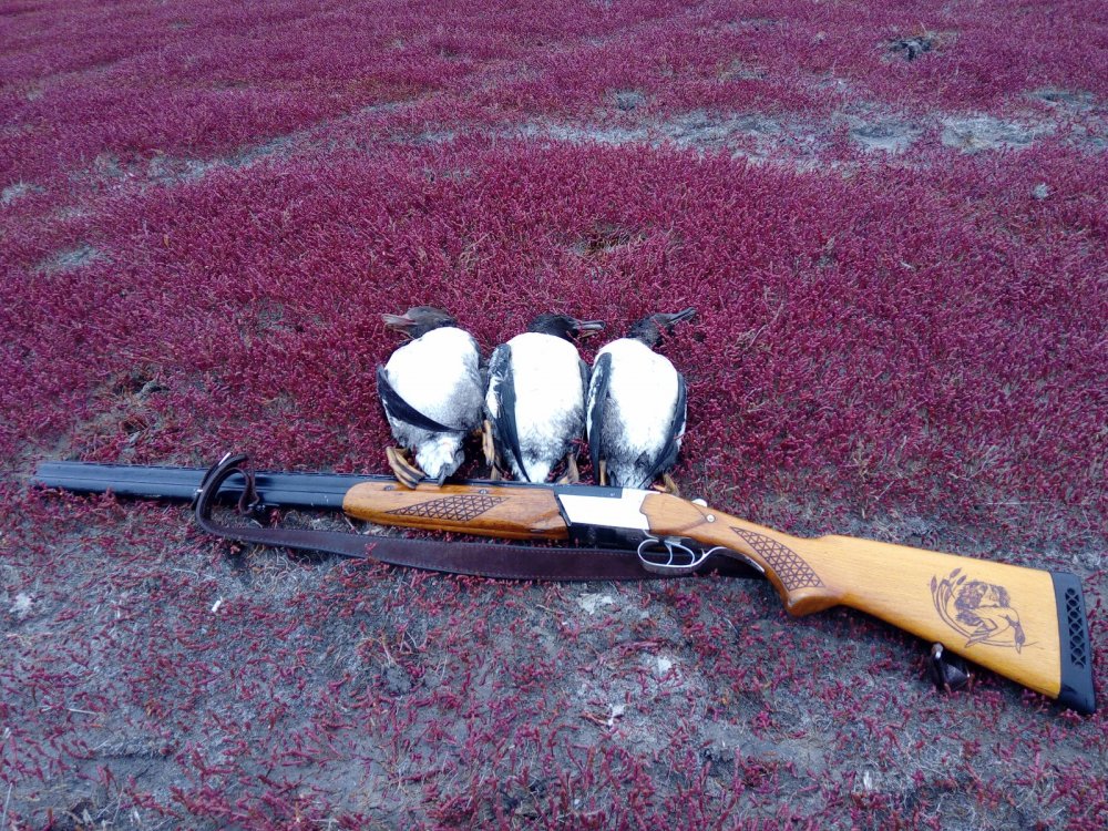гоголишки!