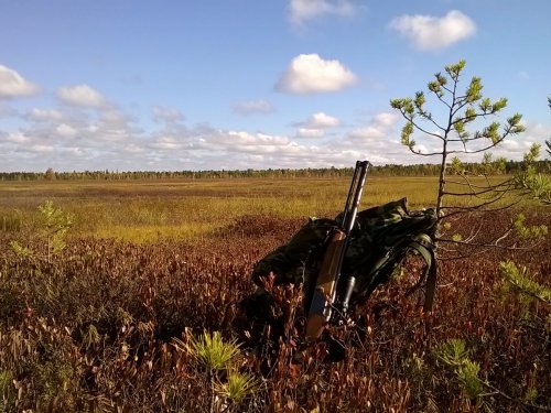 Сентябрь