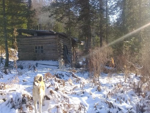 помошники