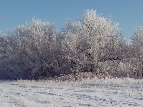 Зимнее утро