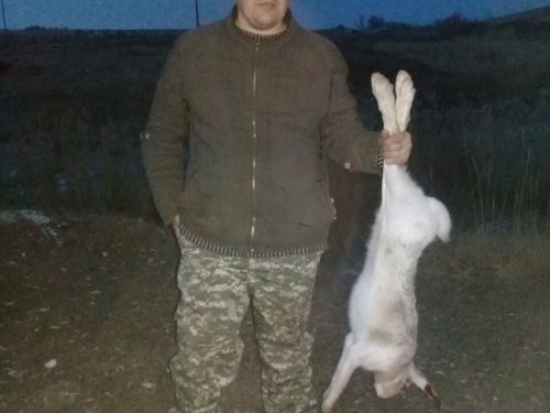 Открылся!!!