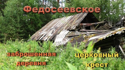 Заброшенная деревня Федосеевское. Проволока в деревьях, сады,дома,бани.