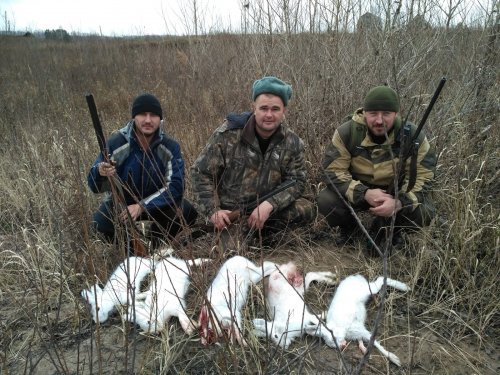 По чернотропу