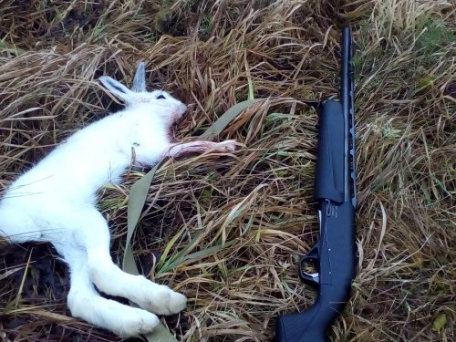 Пока ждали снег