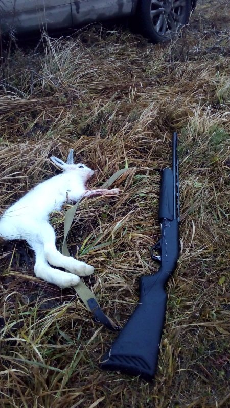 Пока ждали снег