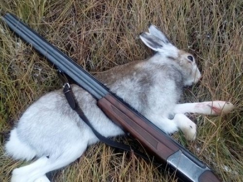Сезон открыт!