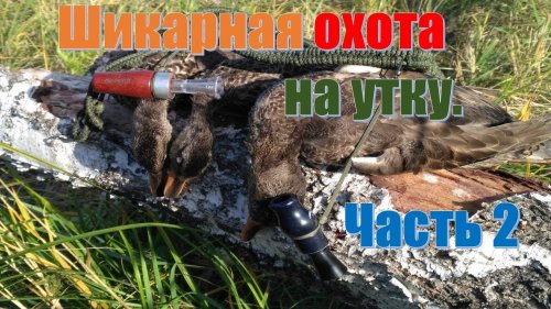 Шикарная охота на утку.  Часть 2
