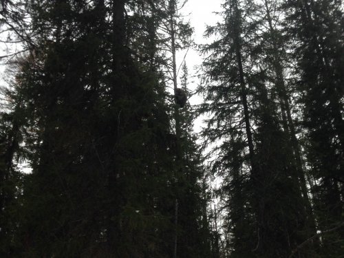 как увидел