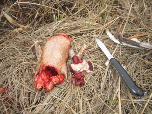 С уважением...