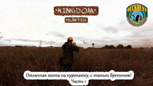 Отличная охота на куропатку, с эпаньол бретоном!  Часть1