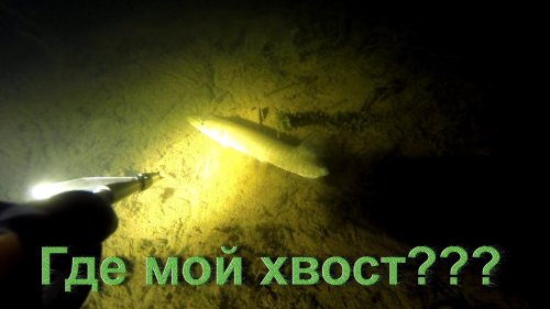 Подводная охота 11 ноября. Сыктывкар.