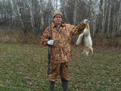 Маленький лис
