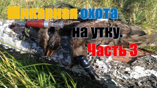 Шикарная охота на утку.  Часть 3