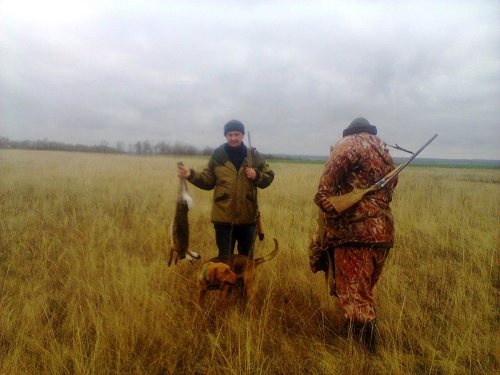 Обазартился...