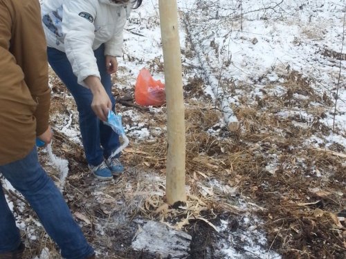вся семья работает