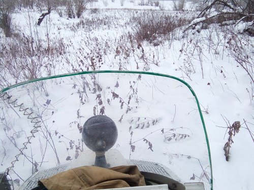 Снега в лесу ещё не много.