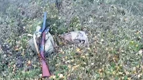 Охота на зайца по чернотропу. Hunting of the hare