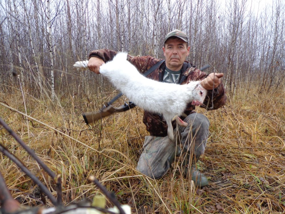 Ещё зайка.