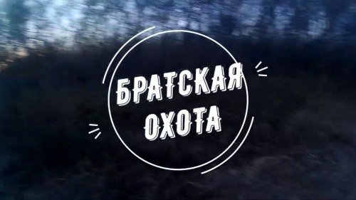Охота на лису по чернотропу. C русской гончей