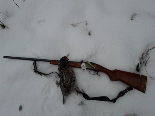 Иж-18Е 32к. 1960г. рябчик взят на манок
