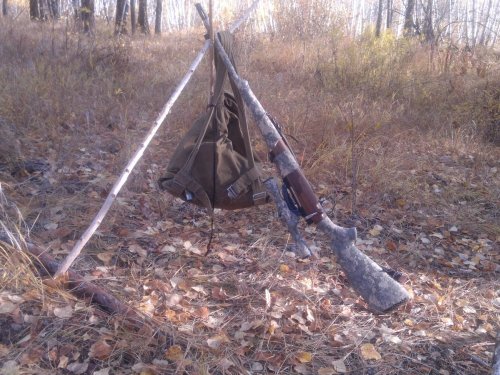 в осеннем лесу