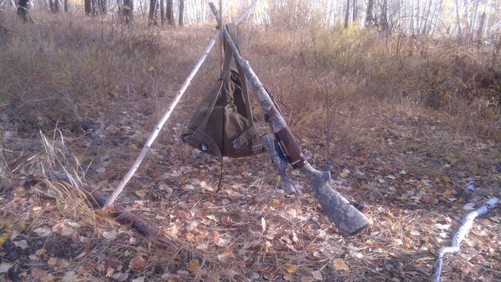 в осеннем лесу