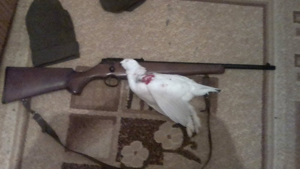 с полем!!!