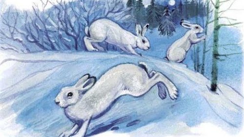 Охота в заячем городе