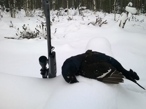 Косачик