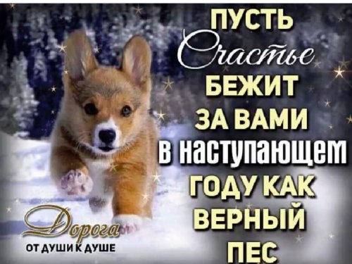 С НАСТУПАЮЩИМ НОВЫМ ГОДОМ!!!