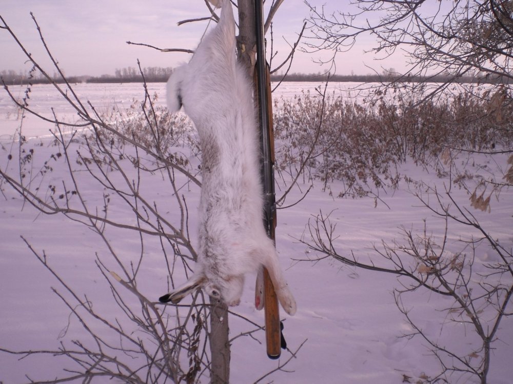 Где то в полях.
