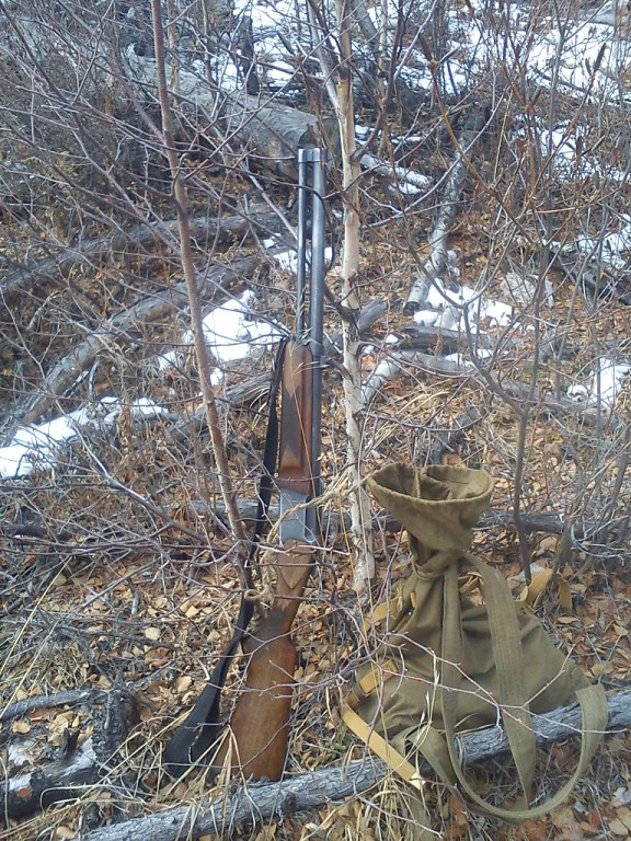 Моё ружьё