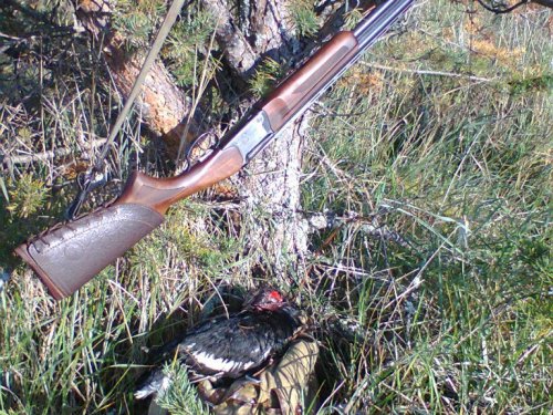 ИЖ-27.