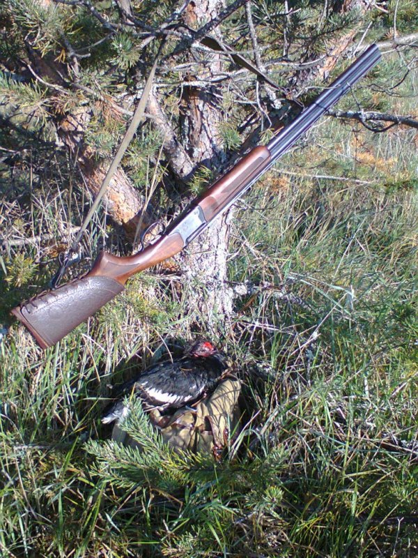 ИЖ-27.
