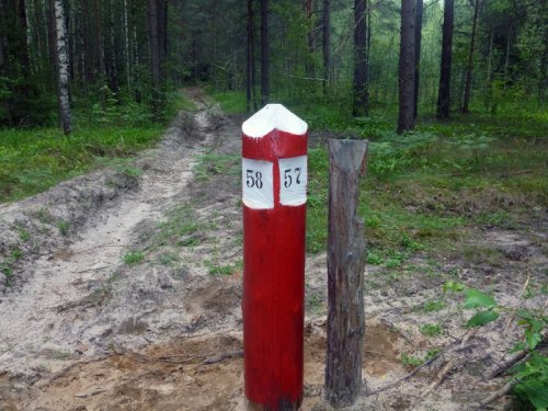 Послесловие к блогу "Компасы природы"