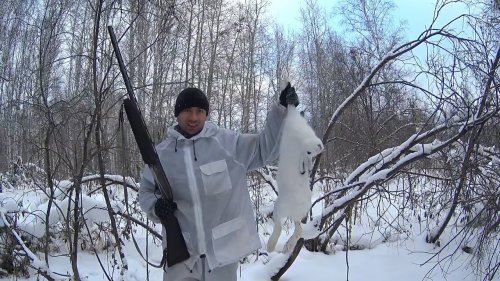 Охота на зайца в Сибири! Новогодний беляк!