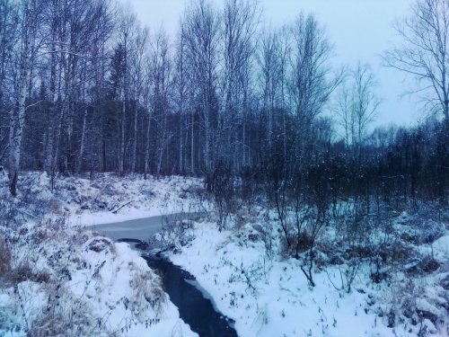 Таёжная речка, вид с другого берега.